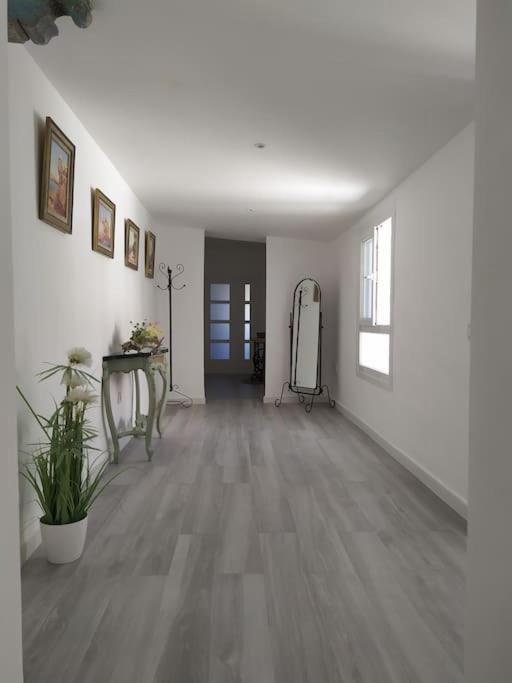 Ferienwohnung Espectacular Piso En La Misma Plaza Del Mentidero. Cádiz Exterior foto